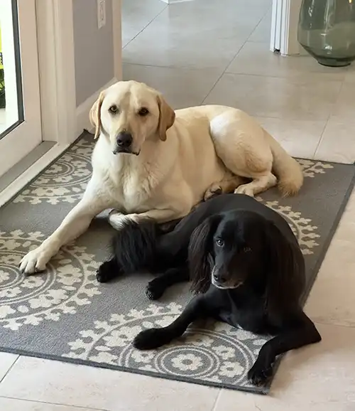 Guardians of the Gate Diesel and Miller
